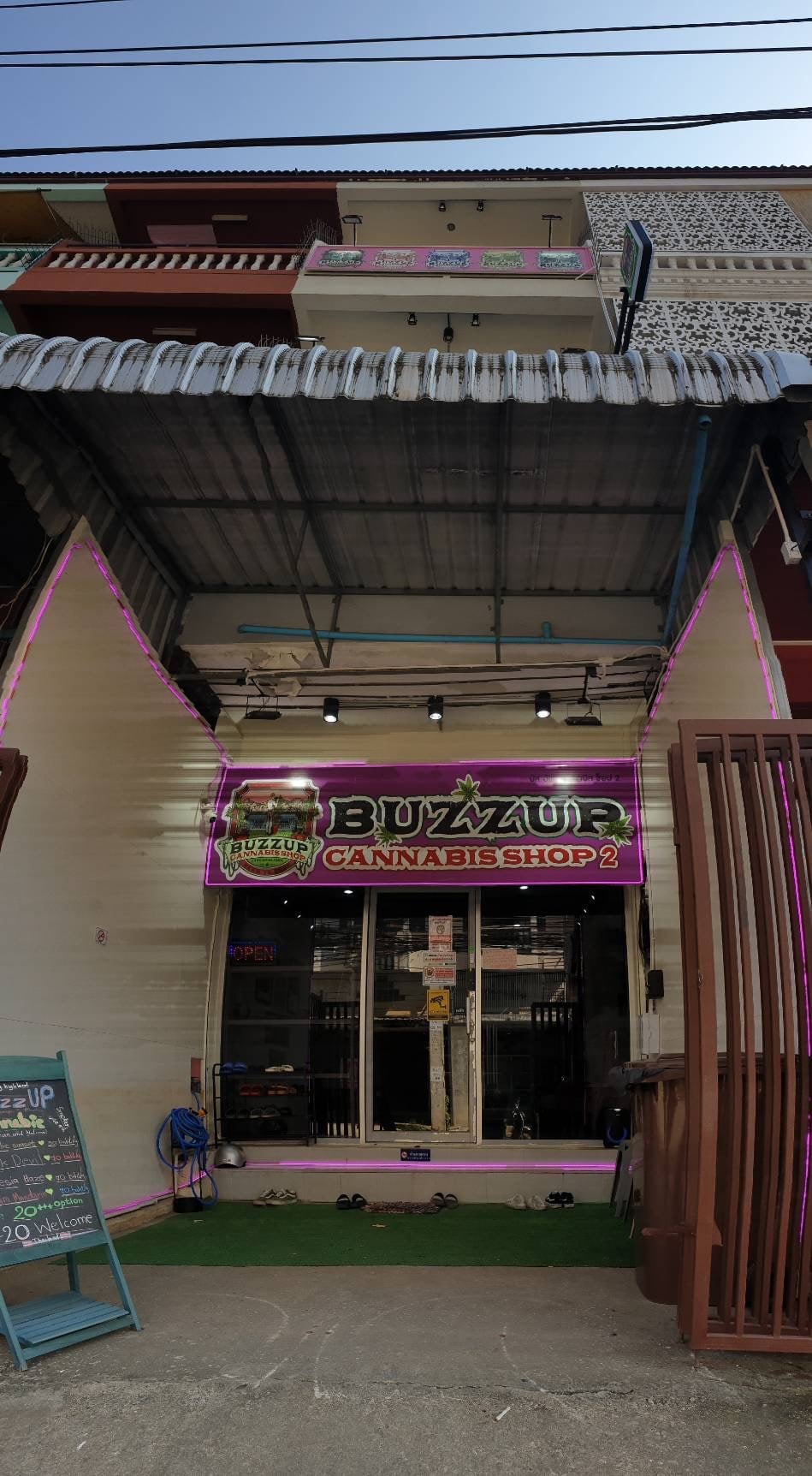 Buzzup Cannabis Shop & Guesthouse - Fang's Unique Terroir & Terpene-Rich