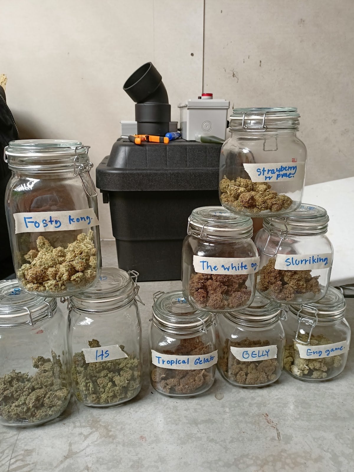 Pink Palace Cannabis Dispensary - Cannabis-m