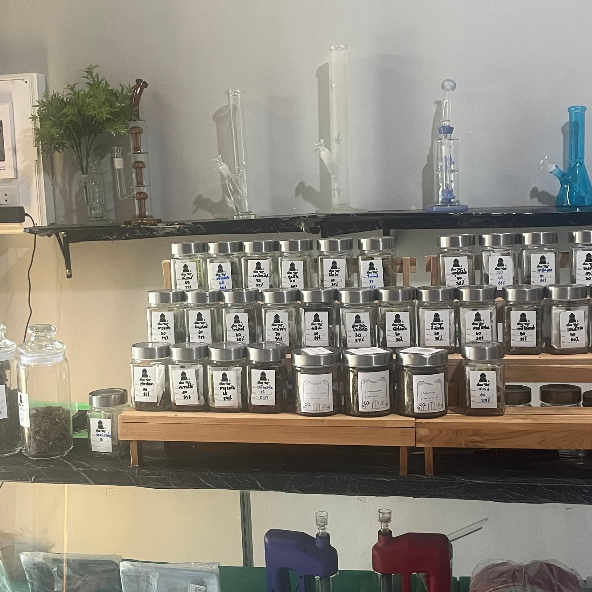 Sloth X Smile Organic Cannabis Farm