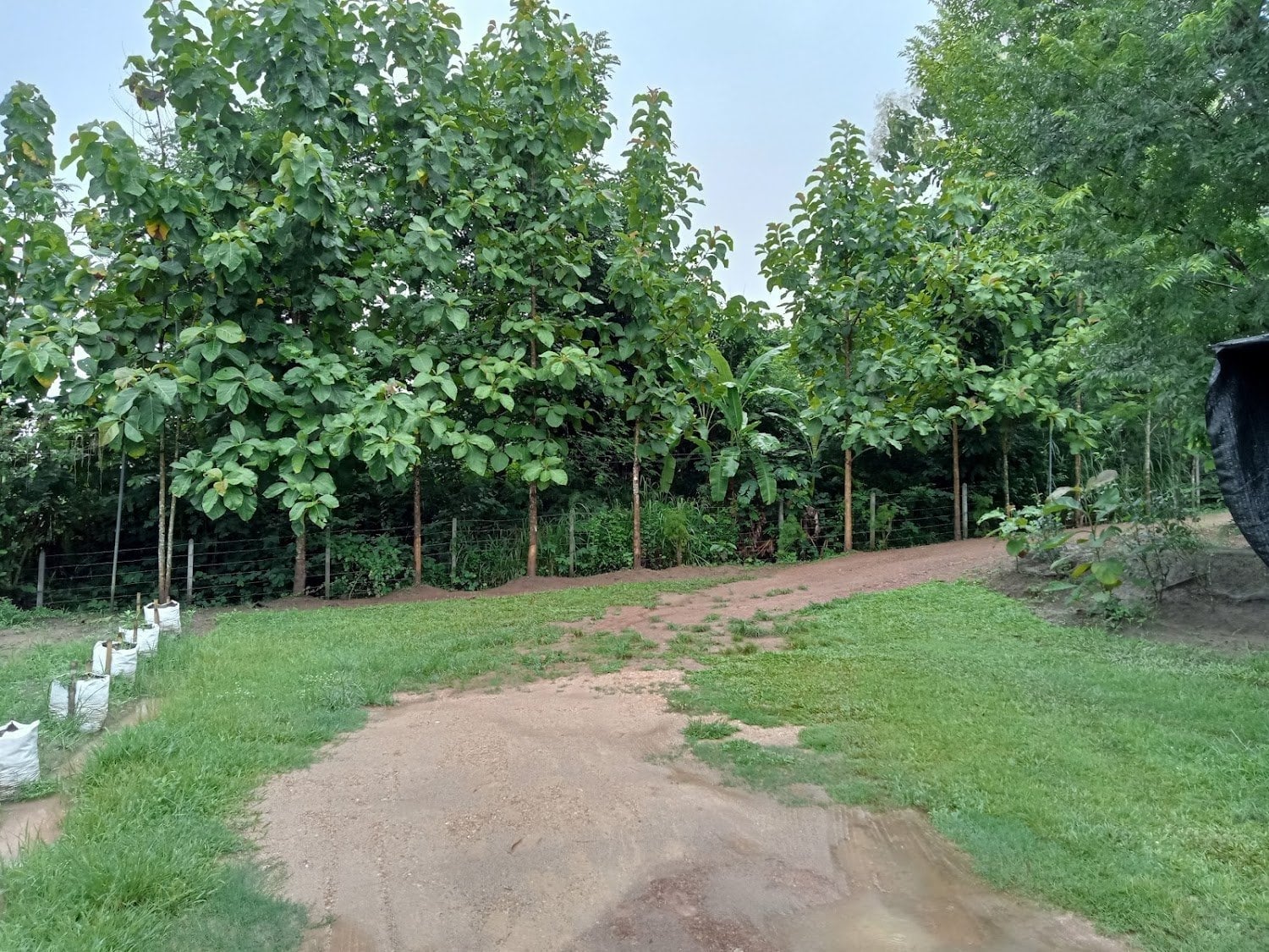 Farm Sukh