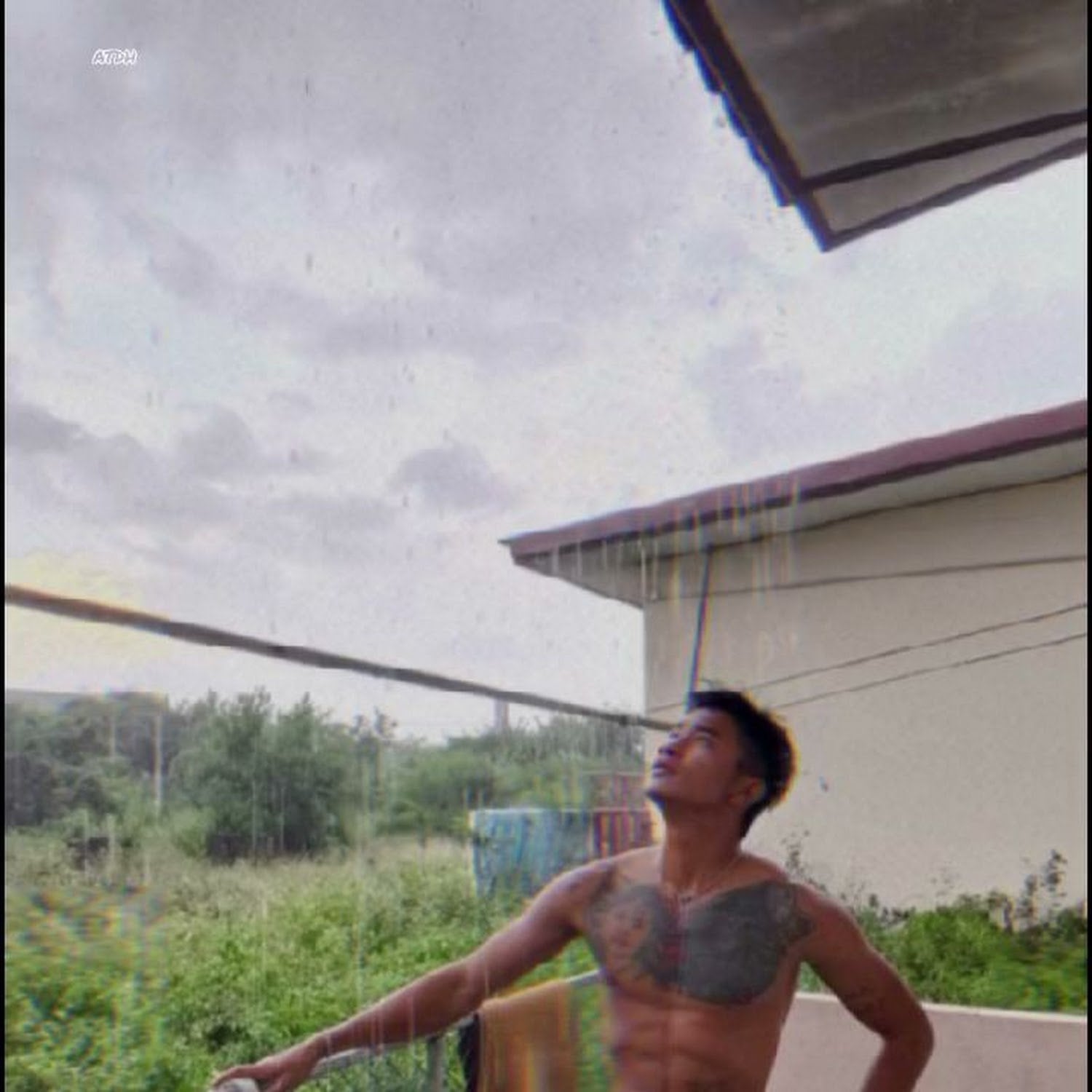 Dekwatmango