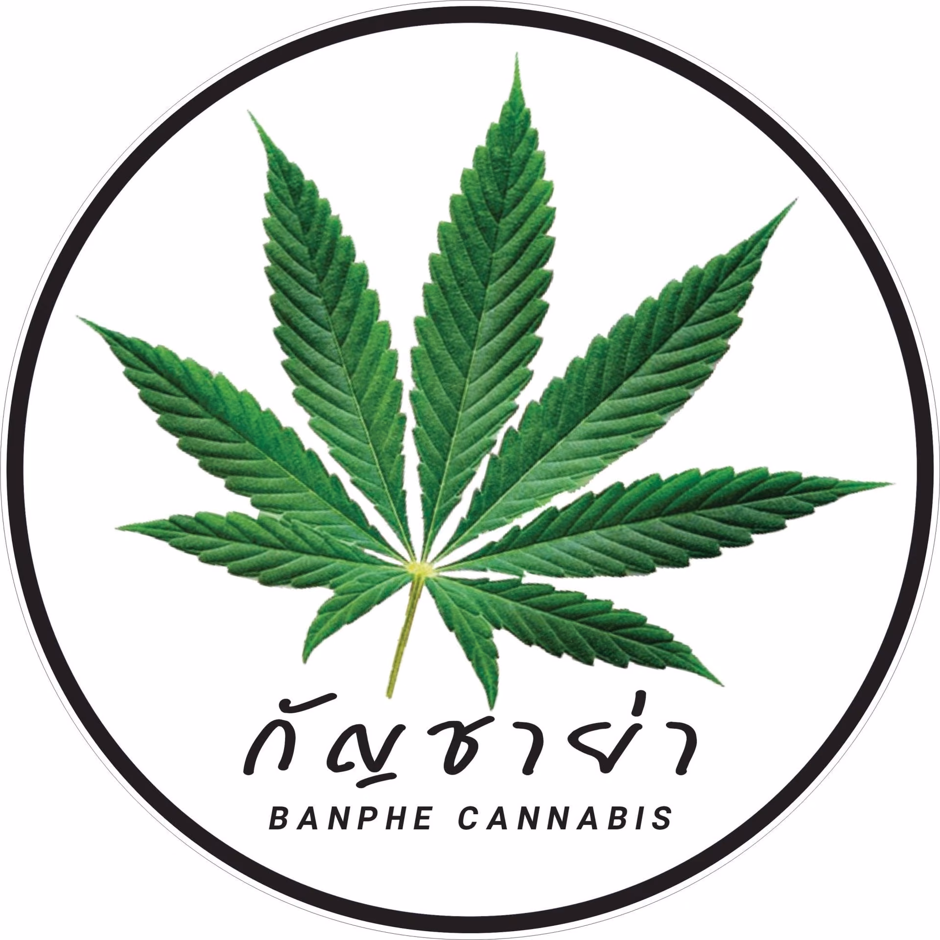 Cannabis Dispensary Weed Banphe logo