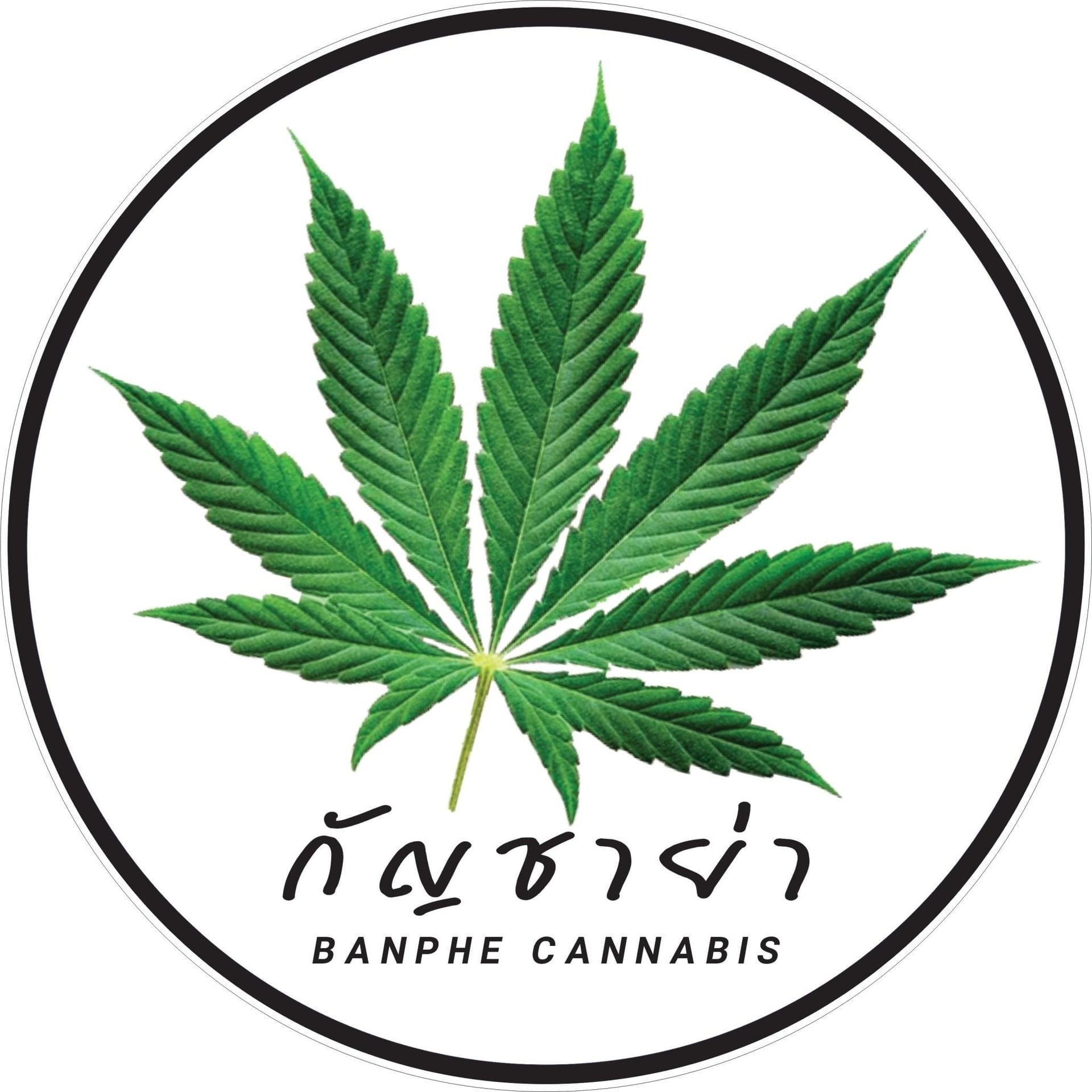 Cannabis Dispensary Weed Banphe in Rayong logo