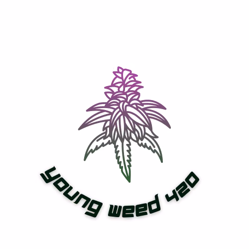 Cannabis Dispensary Youngweed420BKK logo