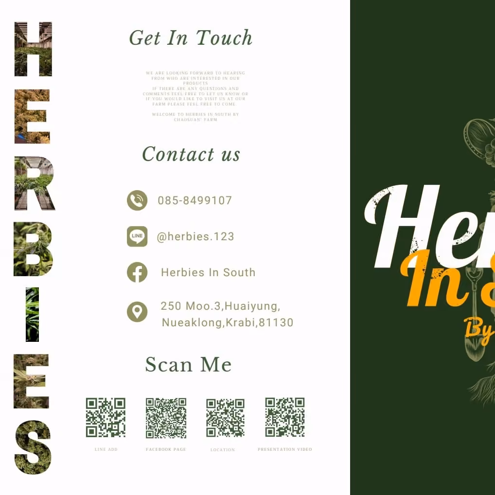 Cannabis Dispensary Herbies In South Cannabis Store Enjoy Ao Nang in Krabi logo