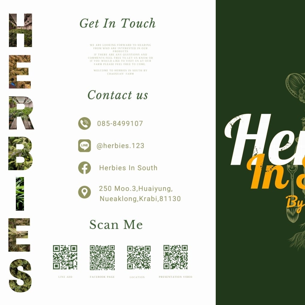 Cannabis Dispensary Herbies In South Cannabis Store Enjoy Ao Nang logo