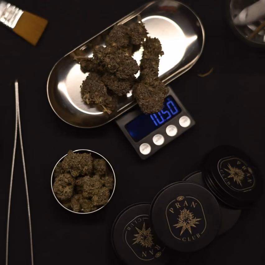 Cannabis-Shop Pran Club Pattaya in Pattaya Logo