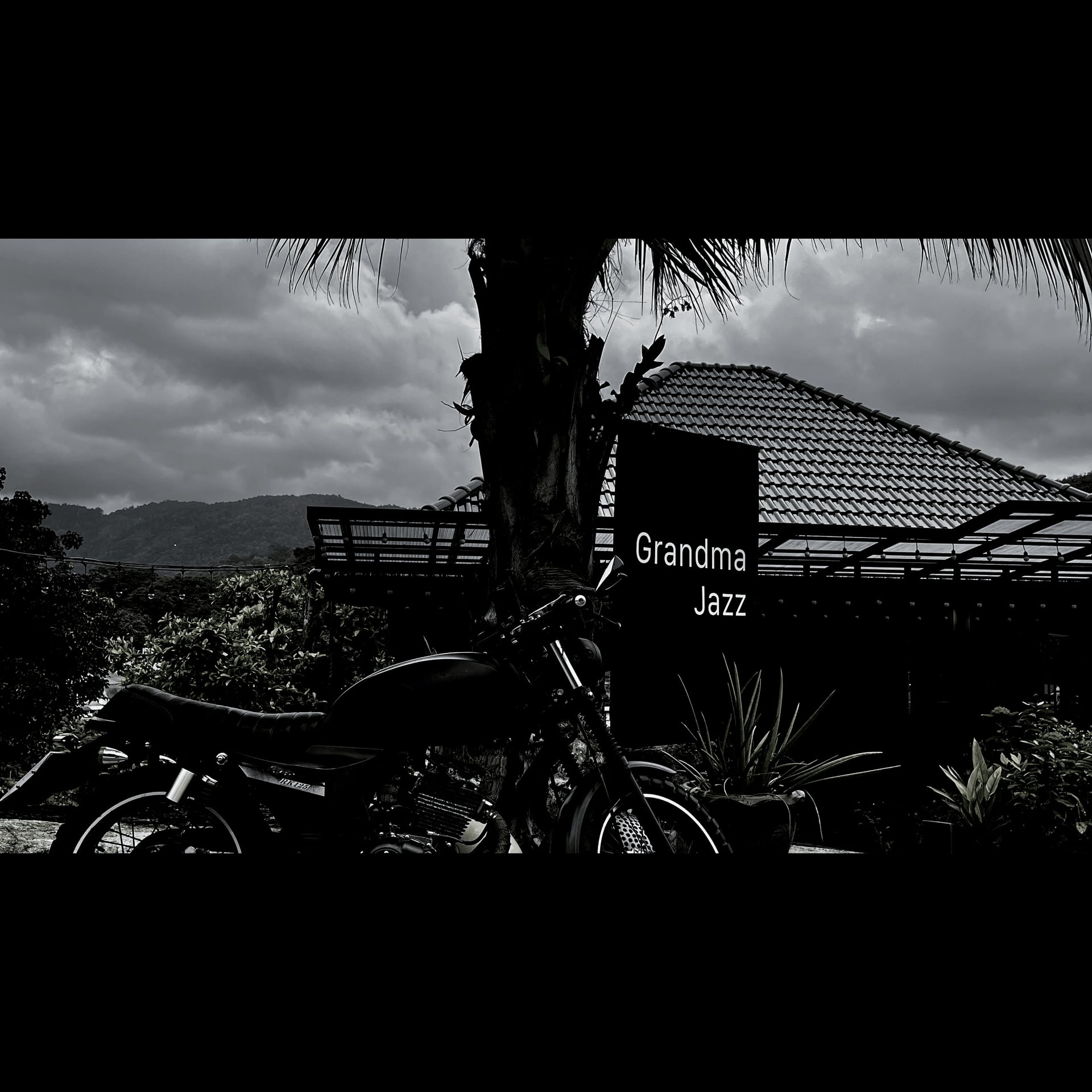 Cannabis Dispensary Grandma Jazz - Cannabis in Phuket logo