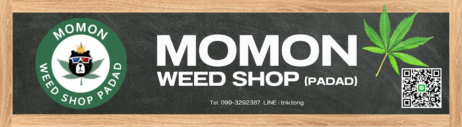 Momon Pa Daet