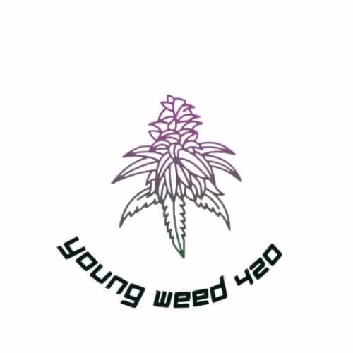 Cannabis Dispensary Youngweed420 in Ban I Lup logo