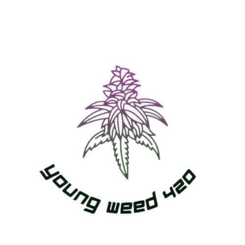 Dispensário de canábis Youngweed420 logótipo