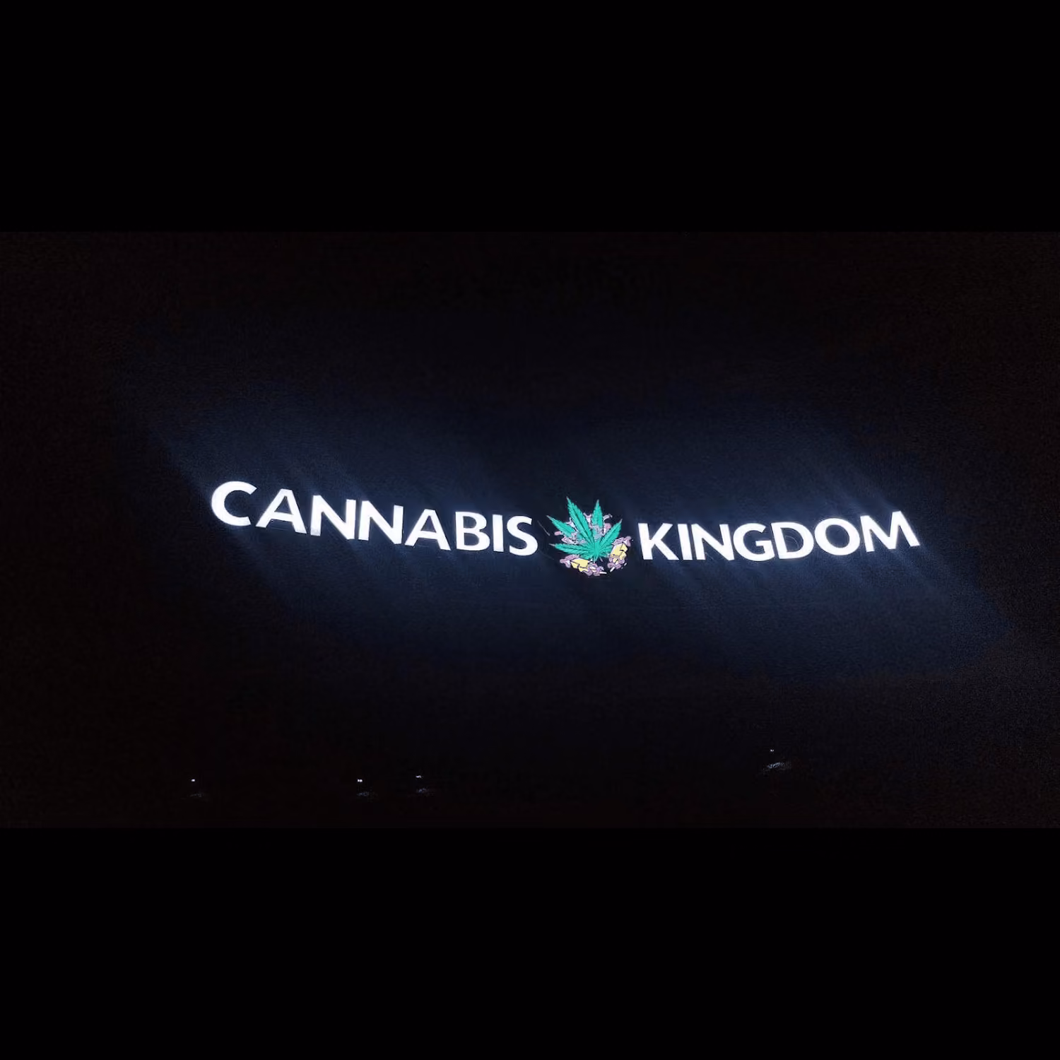 Dispensário de canábis Cannabis Kingdom Replay em Ko Samui logótipo