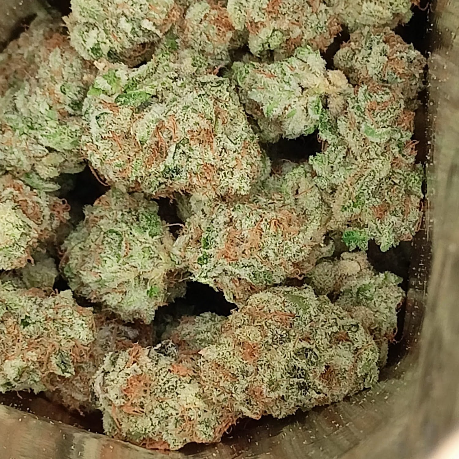 Pink Palace Cannabis Dispensary - Cannabis-m