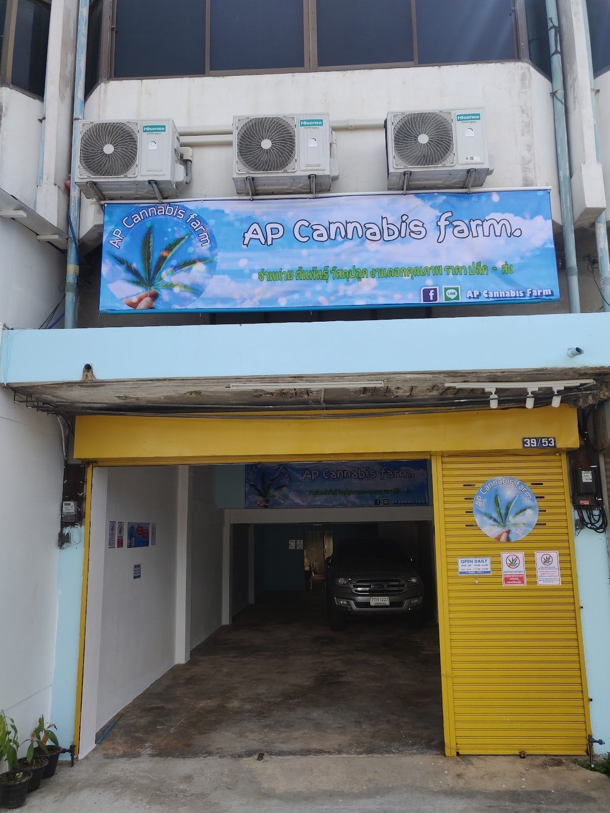 Paul Cannabis Farm