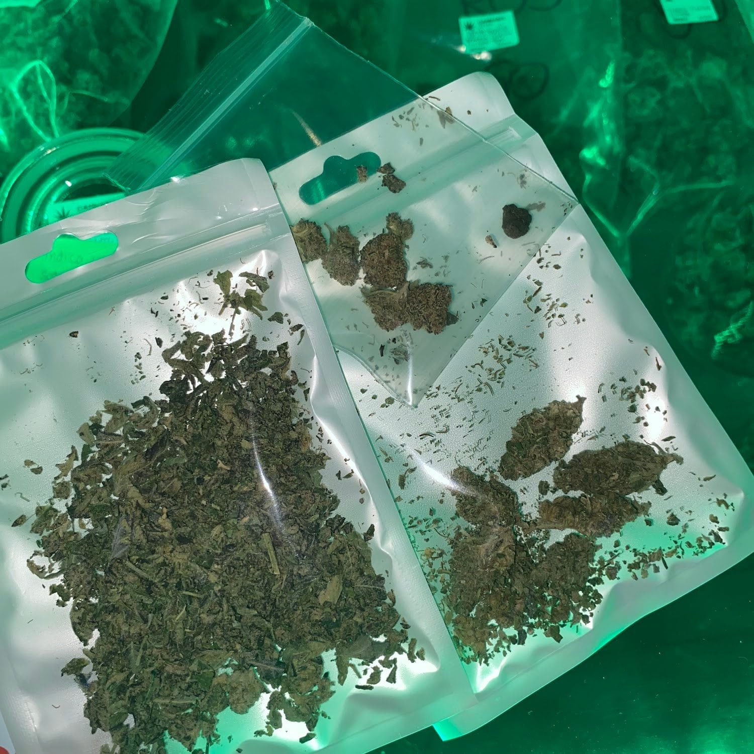 Cannabis