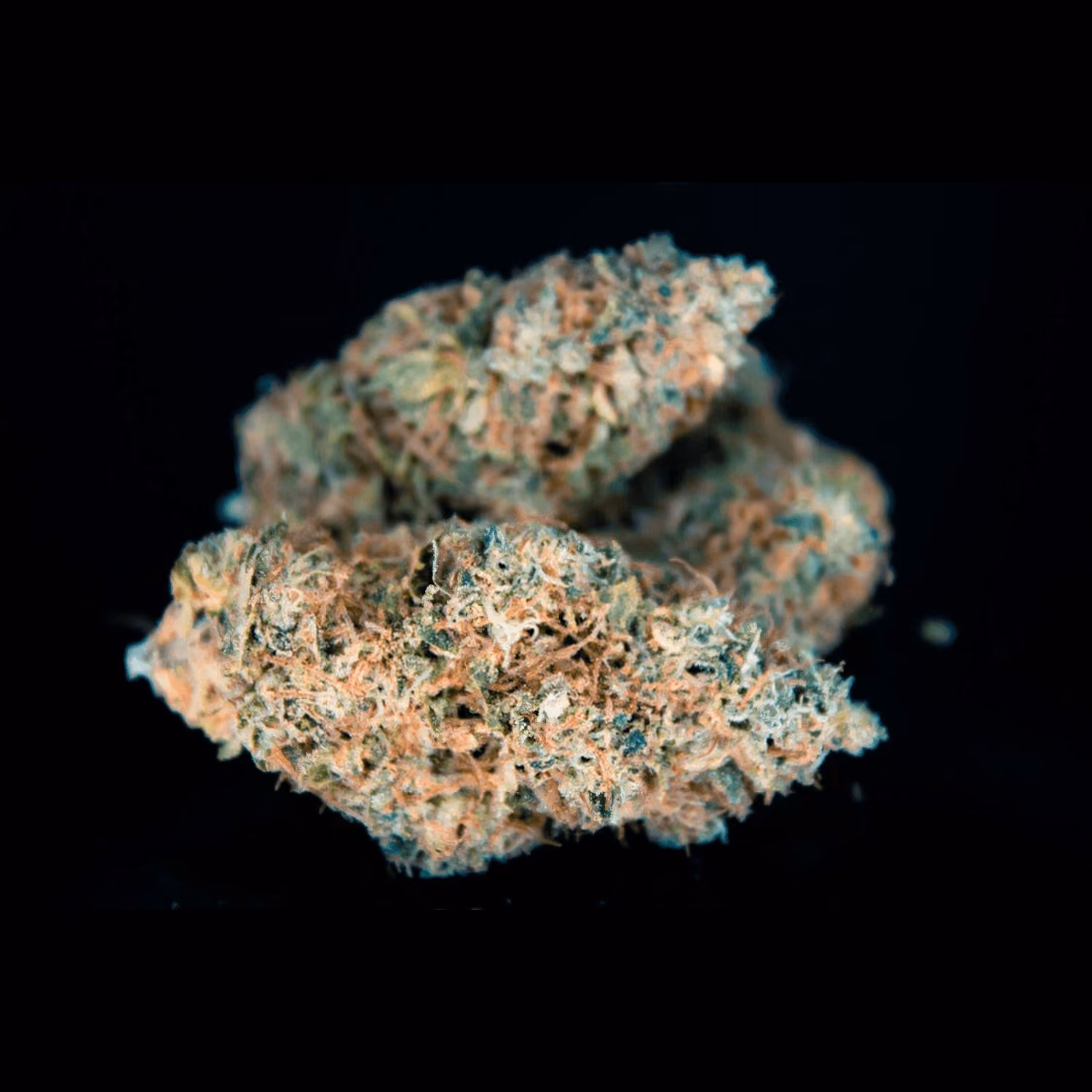 Cannabis Dispensary Broccoli Lab logo