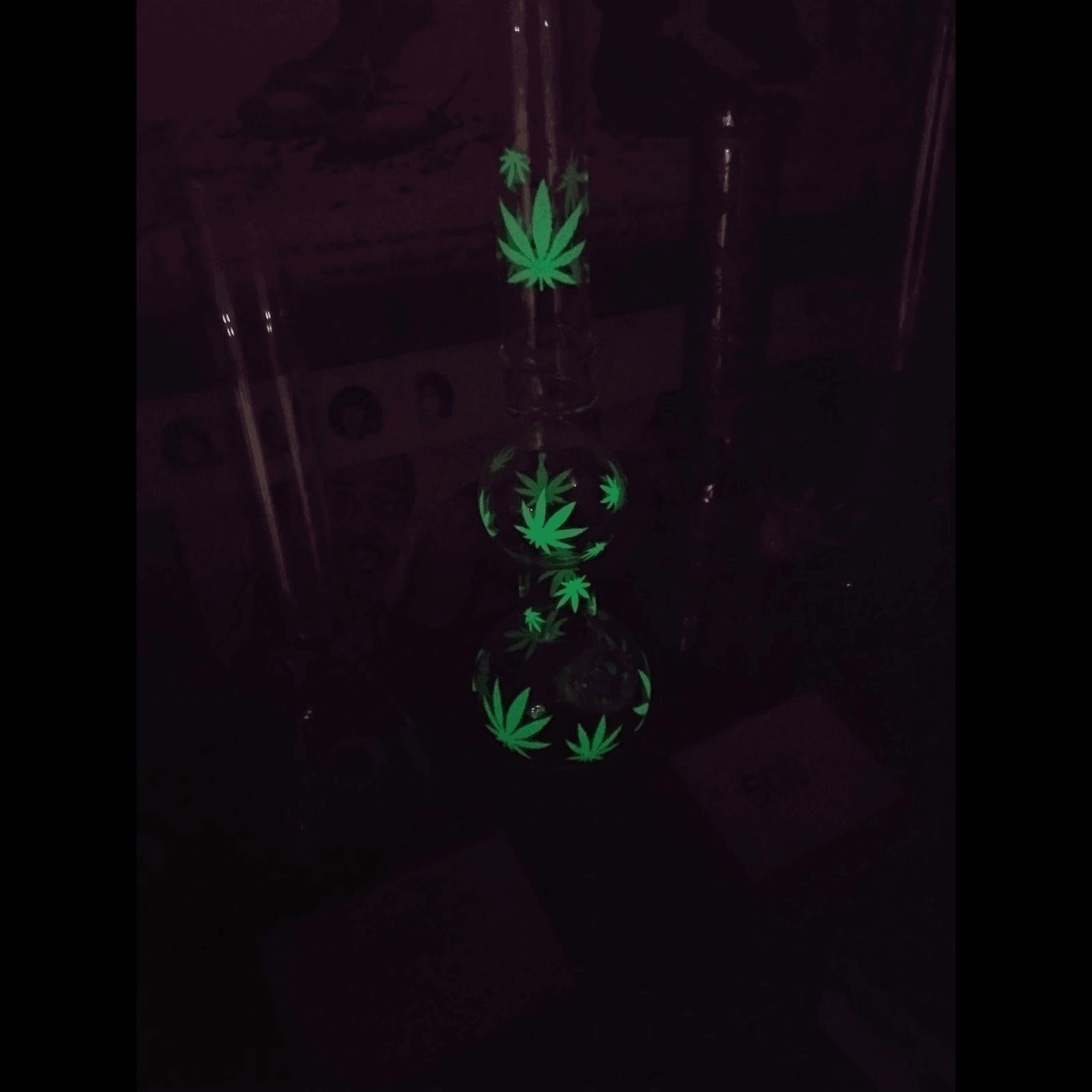 Cannabis-Shop WeedDom in Bangkok Logo
