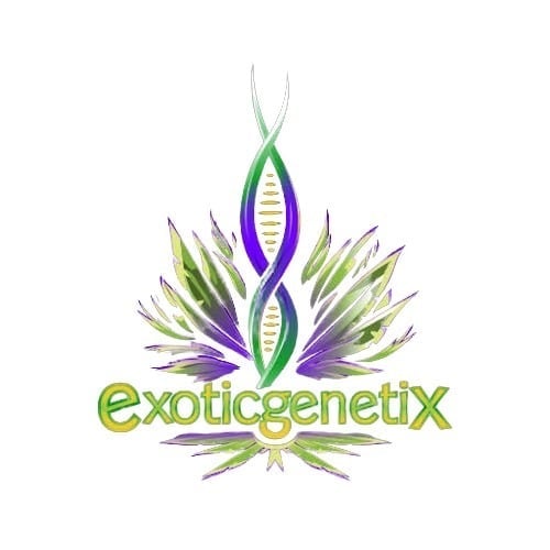Dispensaire de cannabis Smile Og logo