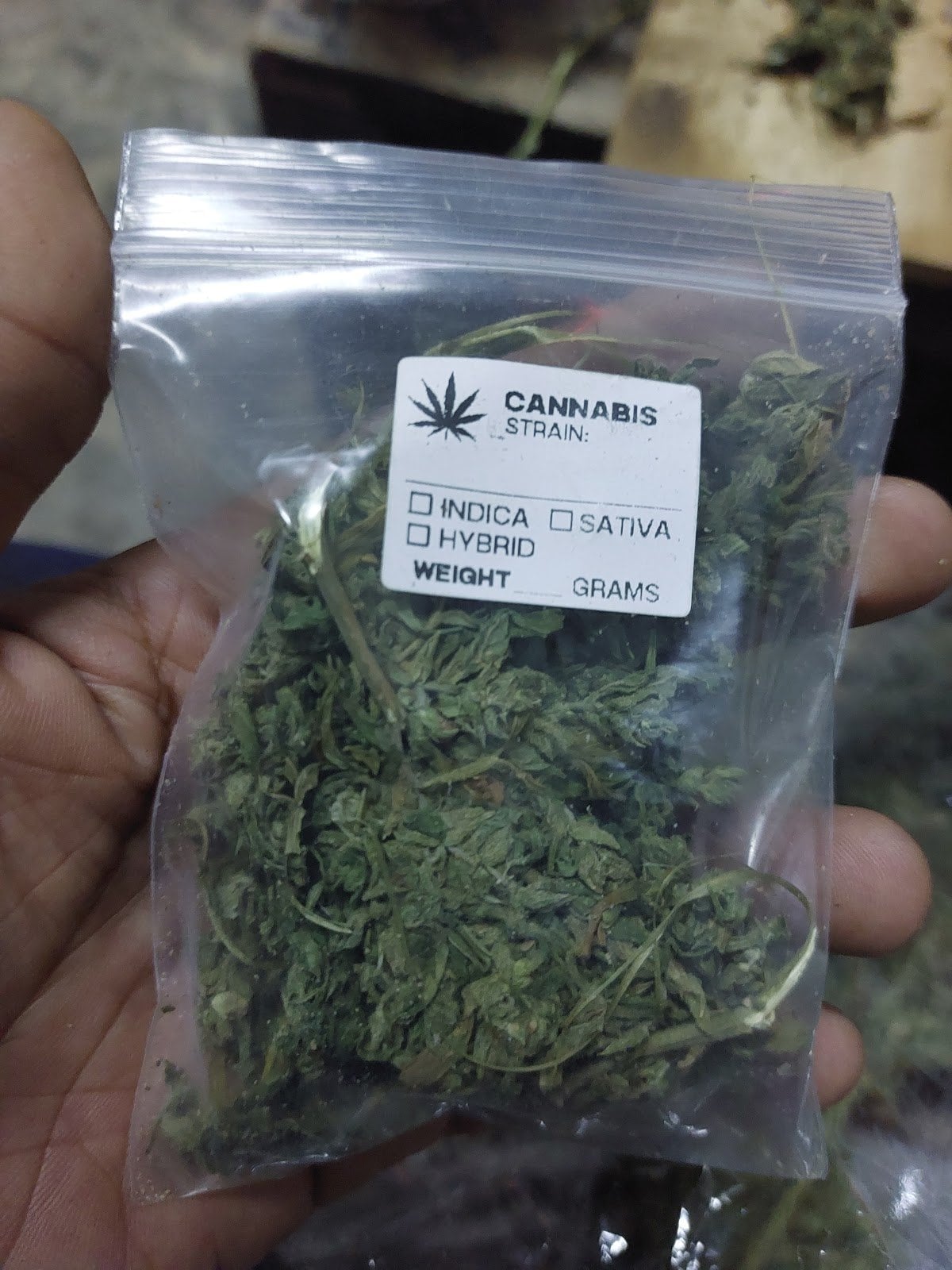 Xo! Kay Ca