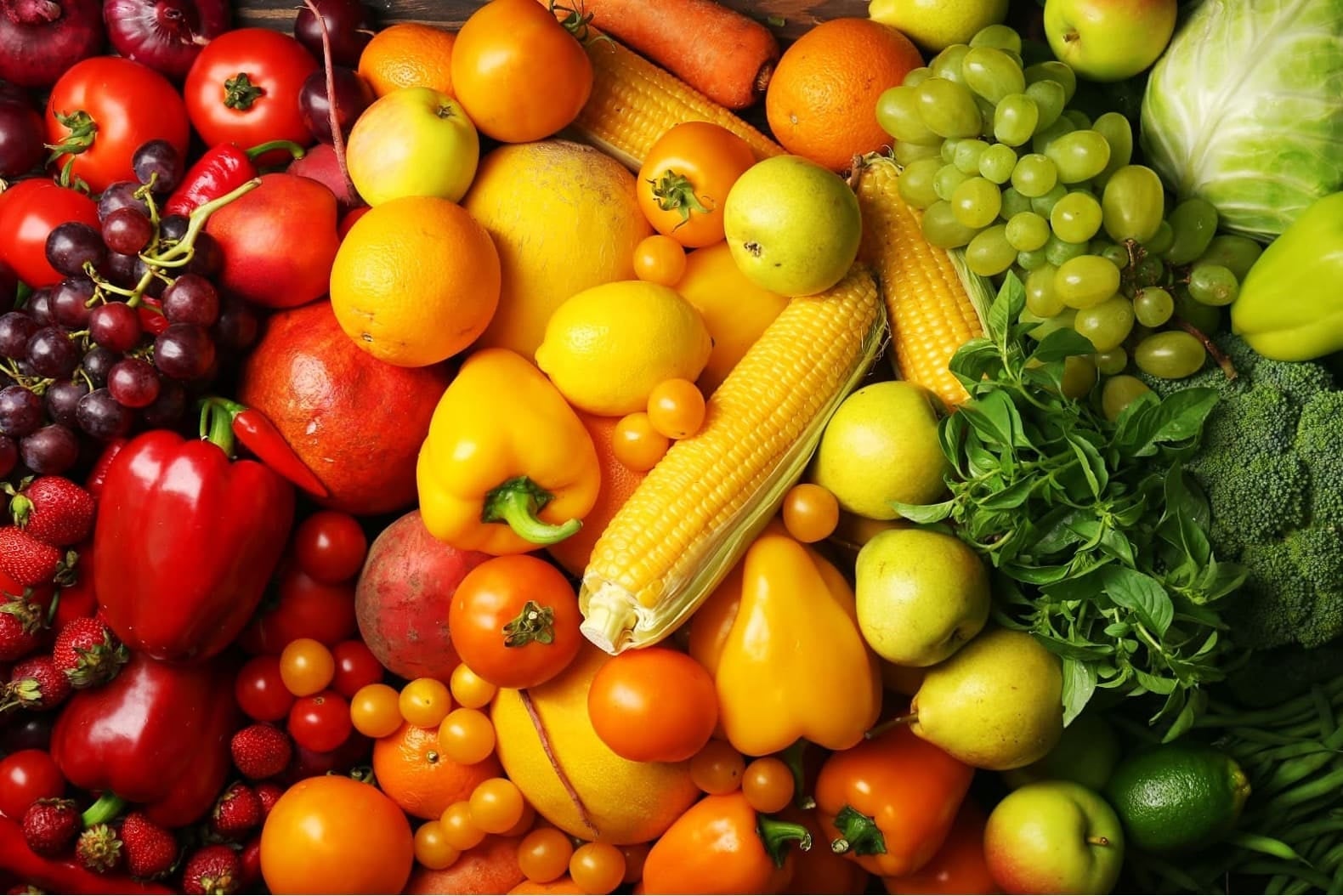 Organic Village Soi