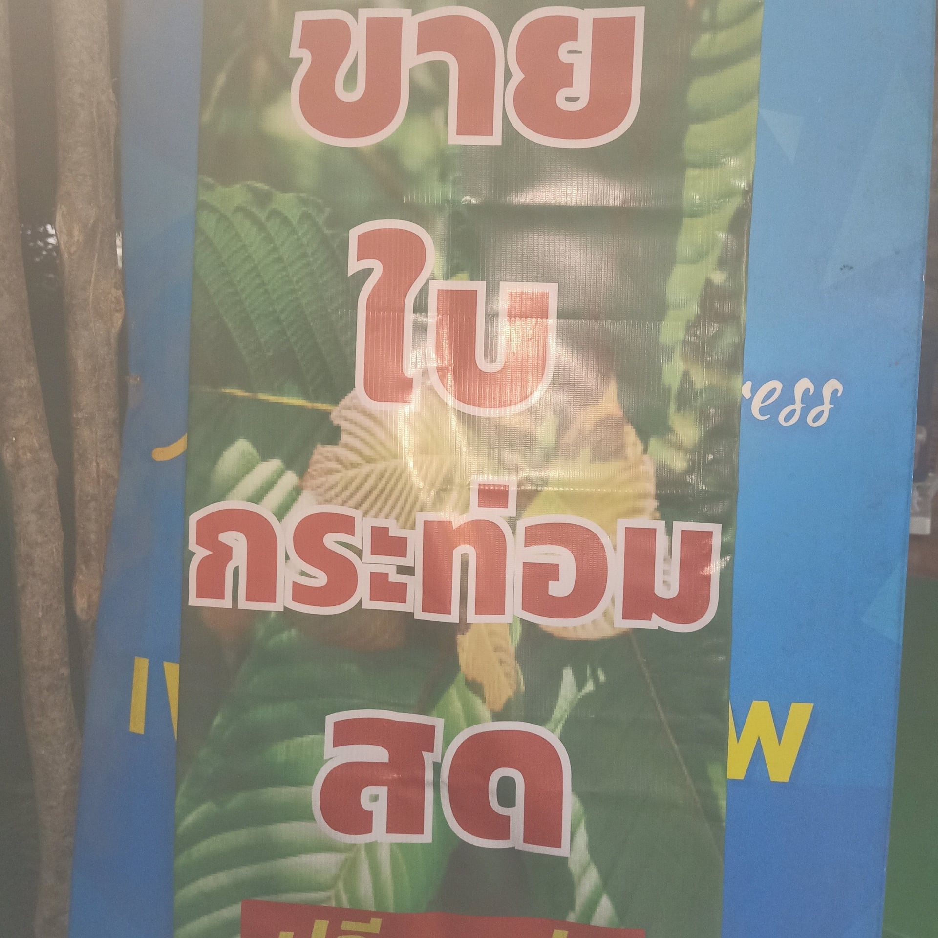 Cannabiz N Dee