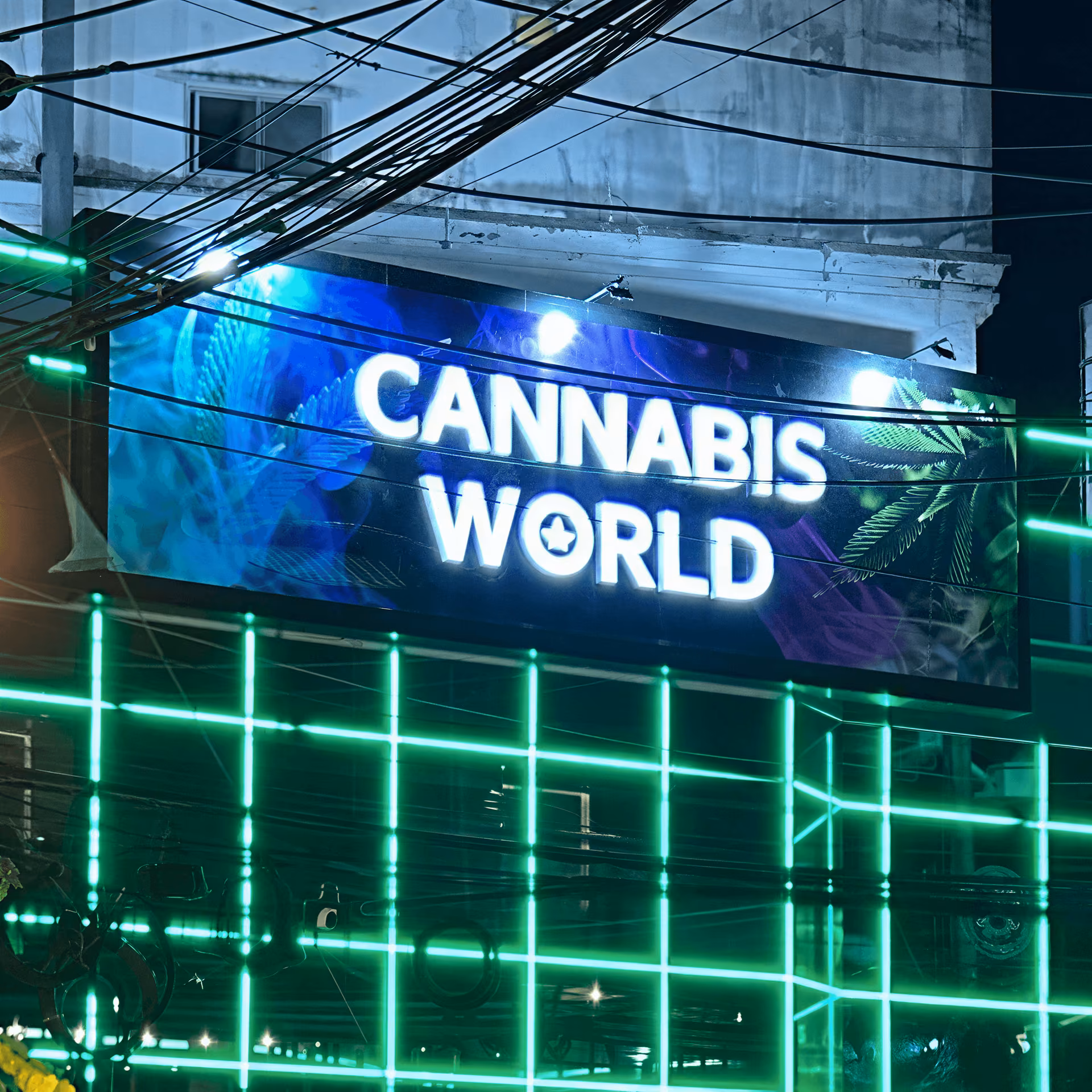 Cannabis Dispensary Cannabis World logo