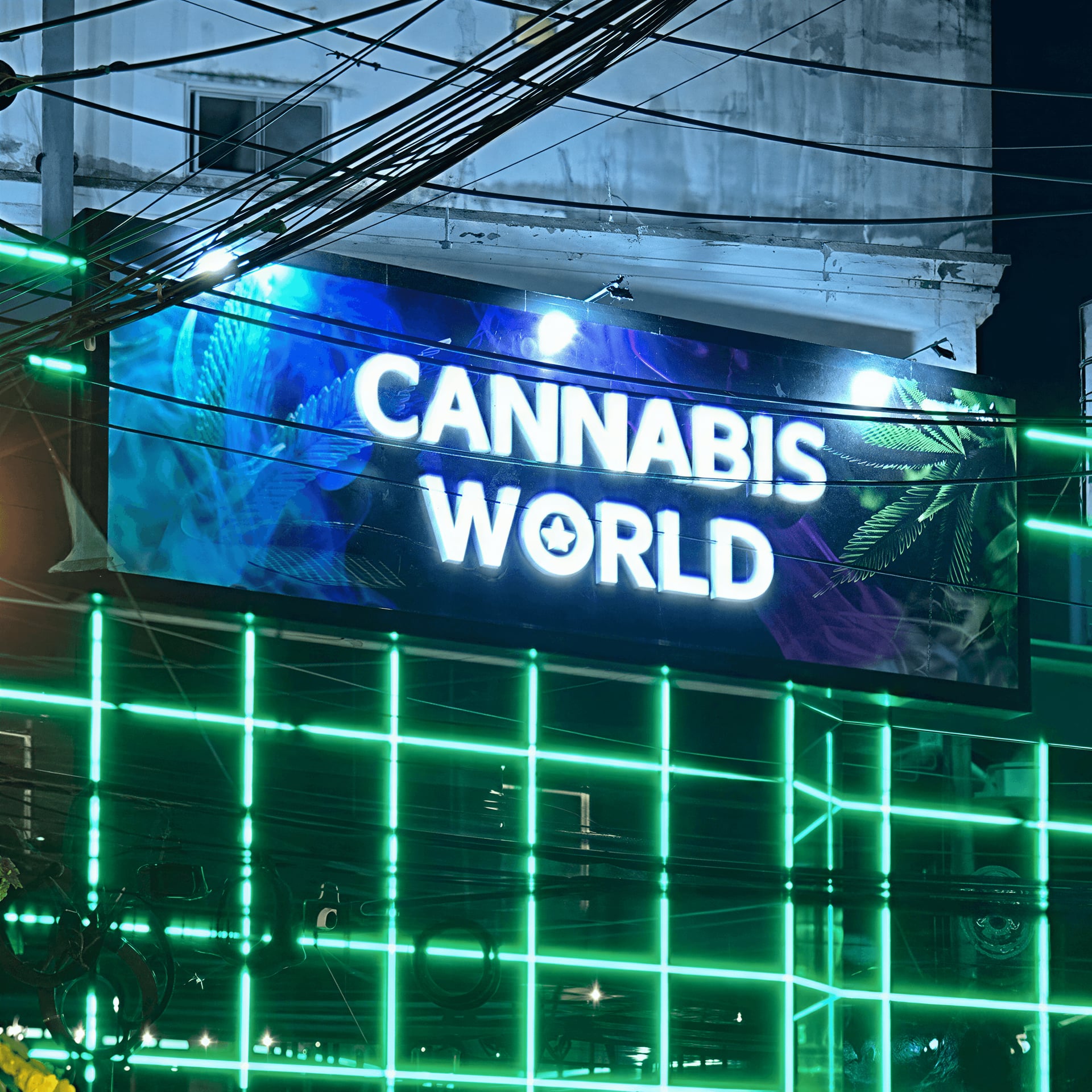 Cannabis Dispensary Cannabis World in Phuket logo