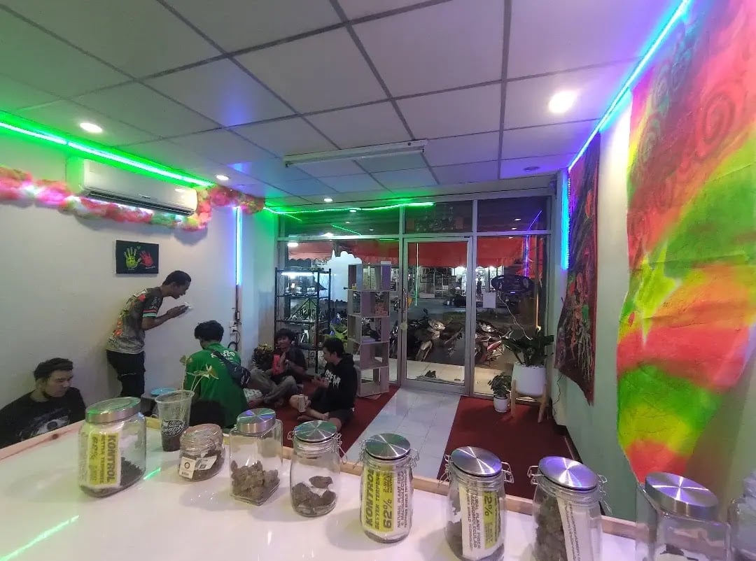Cannabis My House