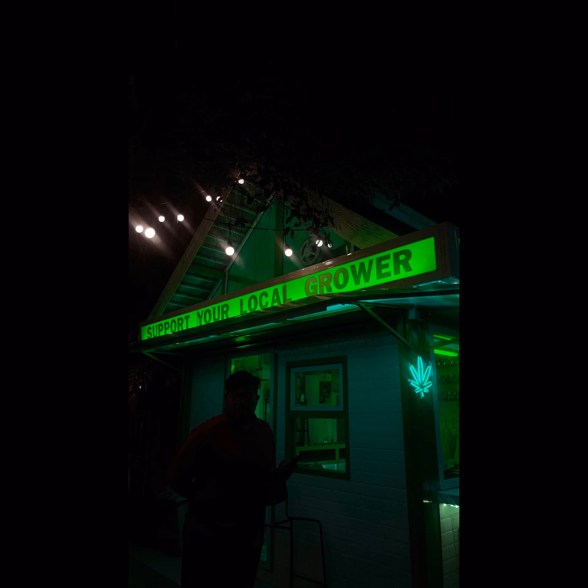 大麻店铺 Geen & Friends Weed Cannabis Marihuana 标志