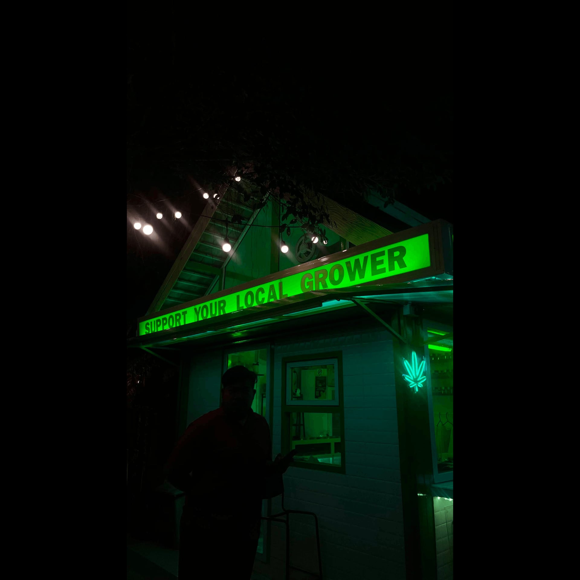 Cannabis Dispensary Geen & Friends Weed Cannabis Marihuana logo