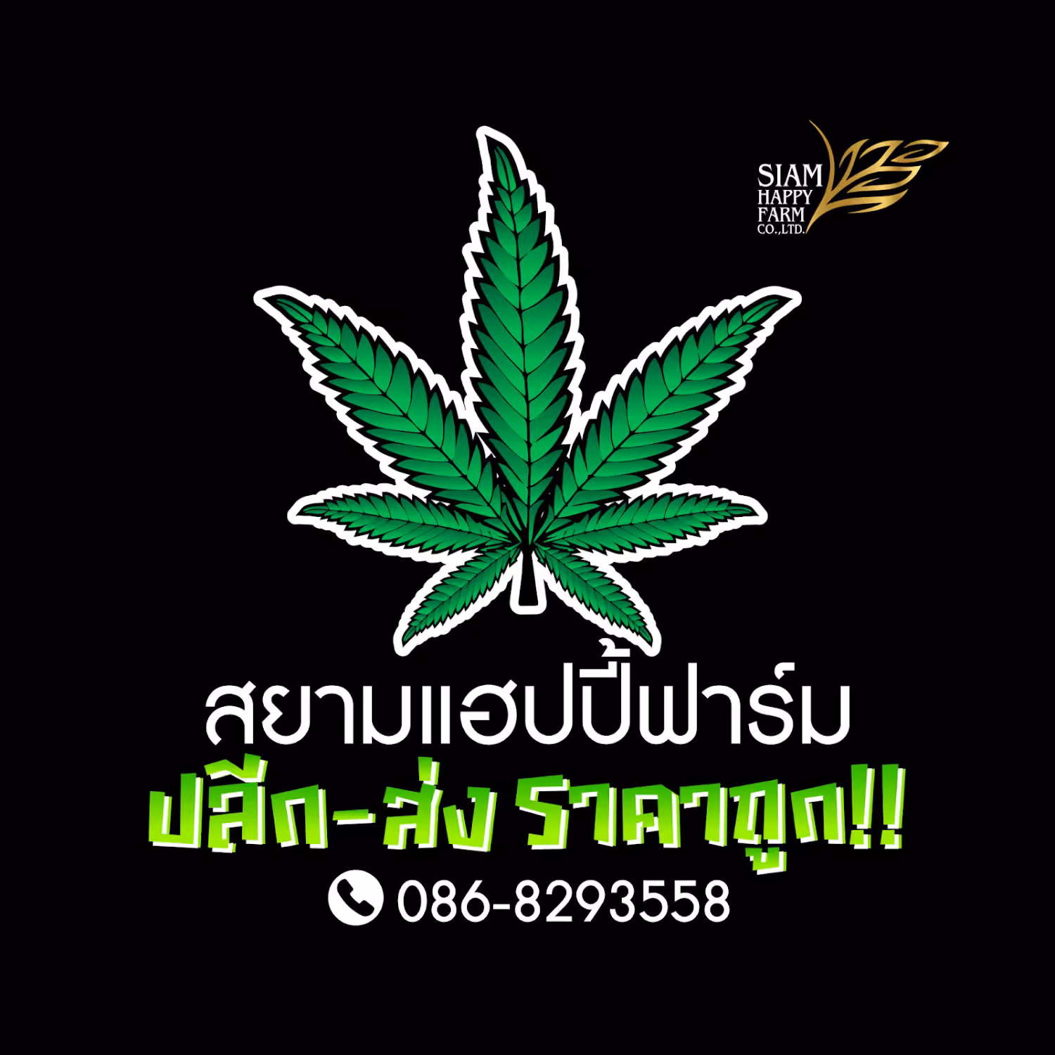 대마초 매장 Siam Happy Farm 로고