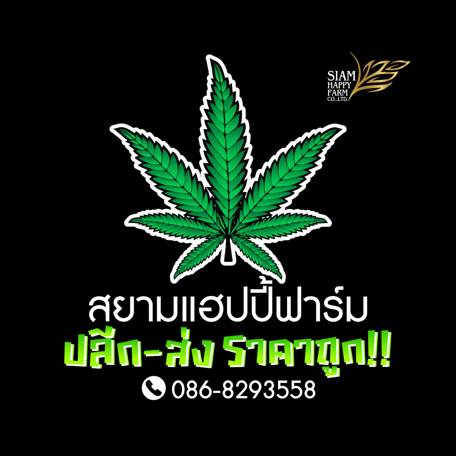 Konopná výdejna Siam Happy Farm v Pattaya logo