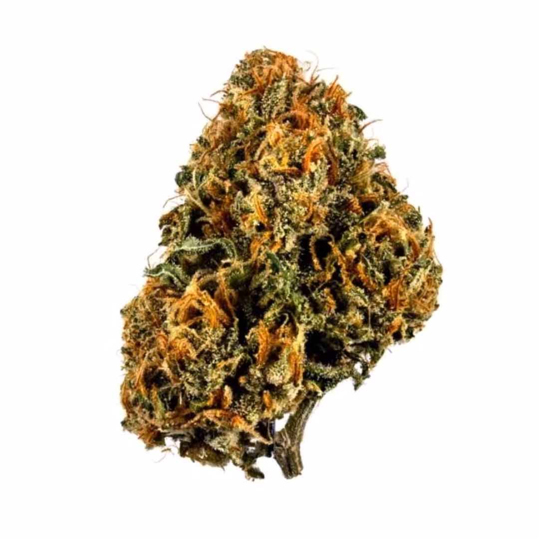 Cannabis-Shop Club 5921 Logo