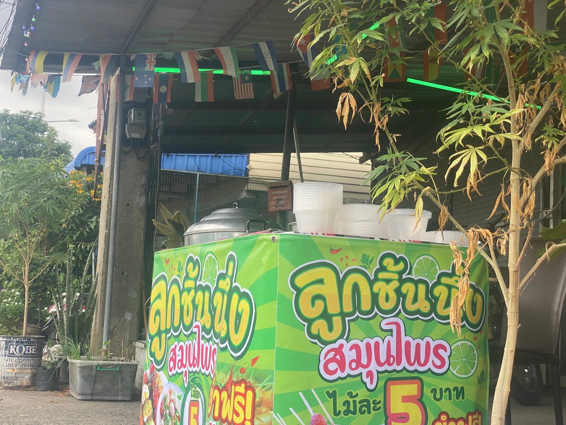 Sweedcannabis