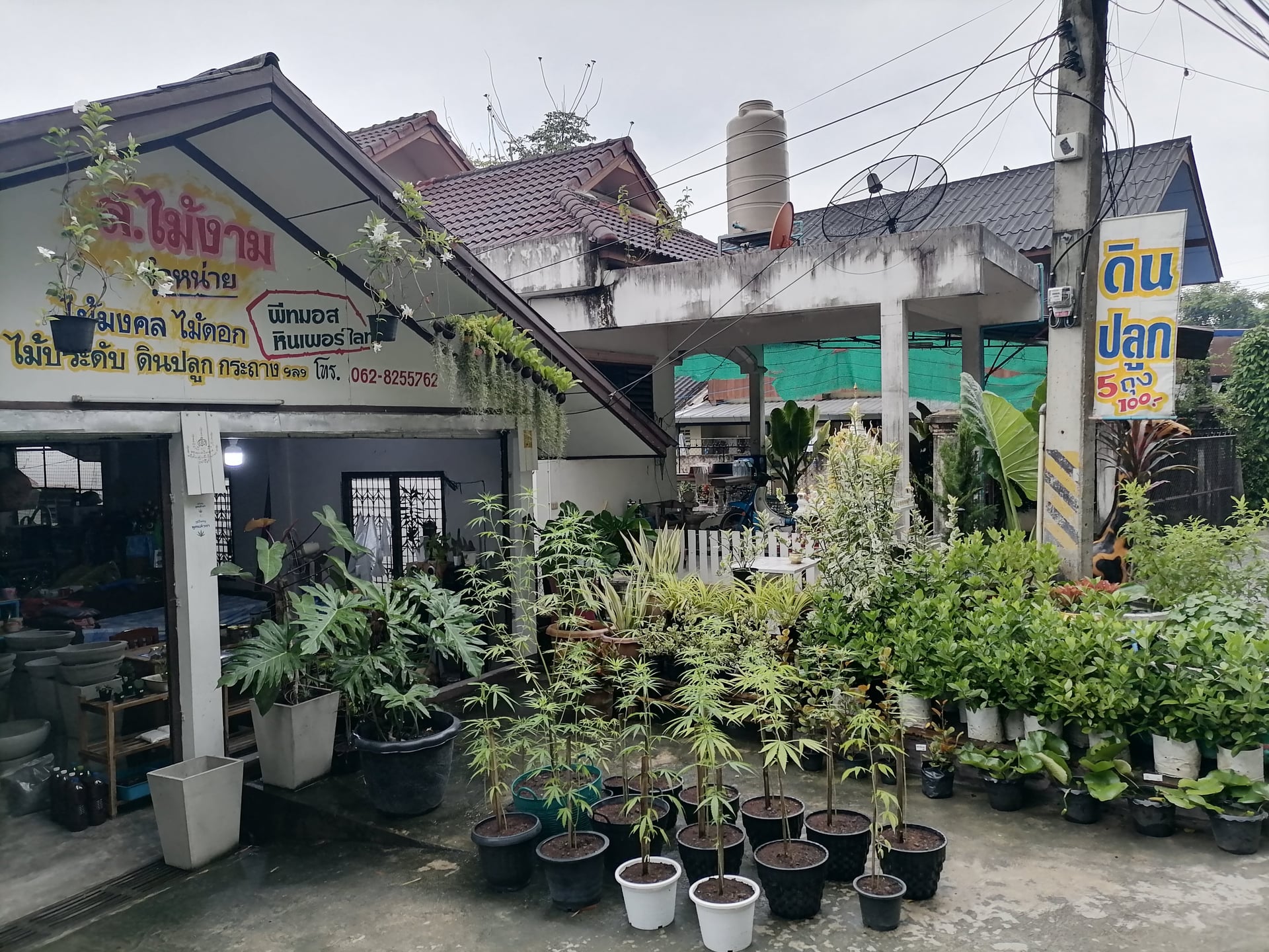 Space Farm San Kamphaeng - Weed Shop Cannabis Dispensary C A Hàng C N Sa