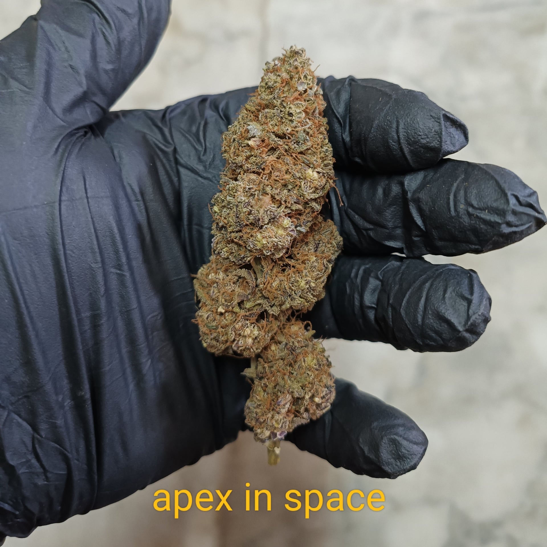 Khlxng Prapa Khana-bis