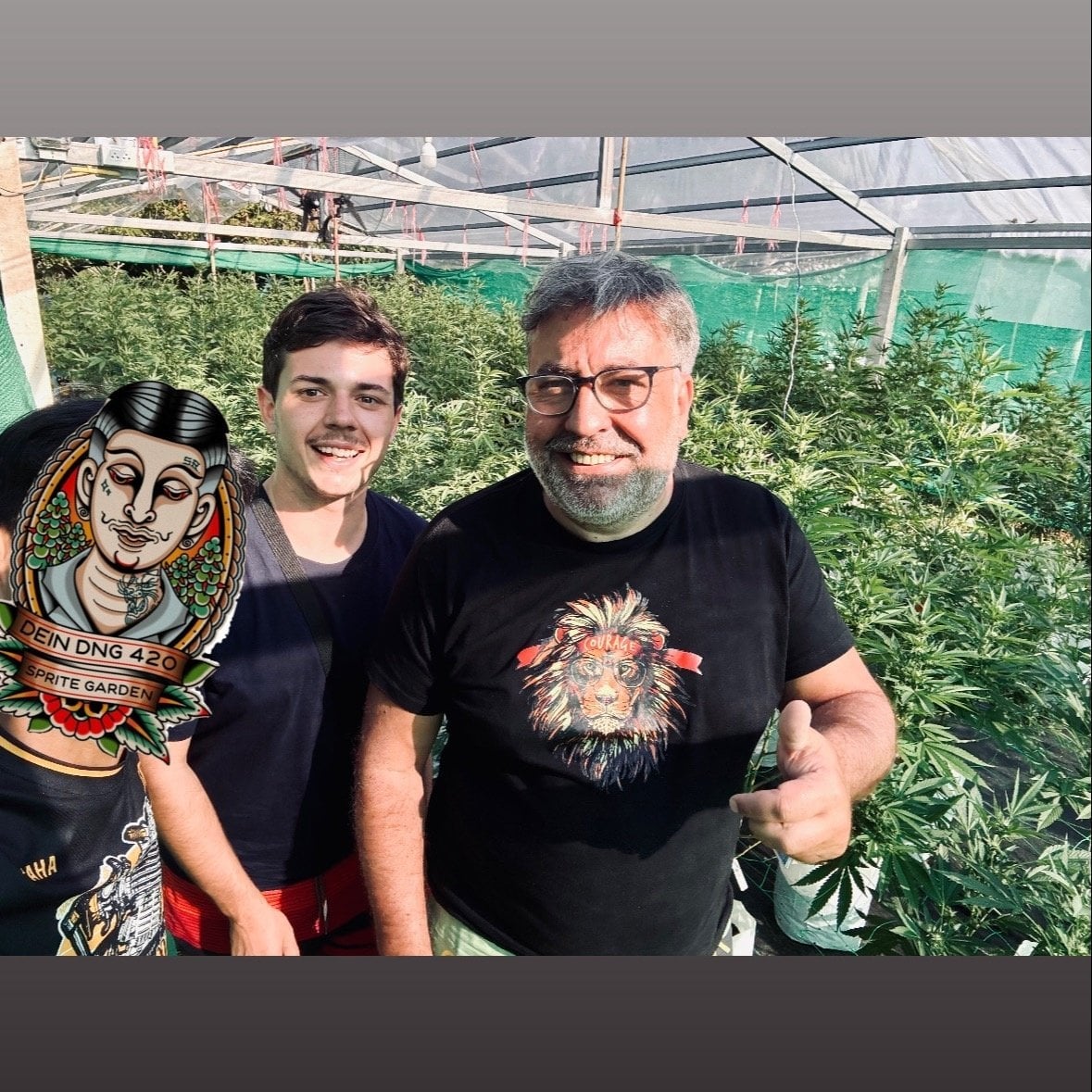 420