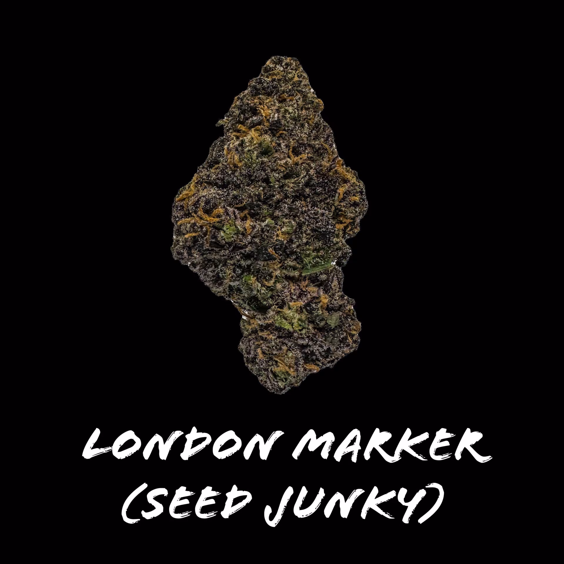 大麻ショップ Beardog Weed Delivery ロゴ