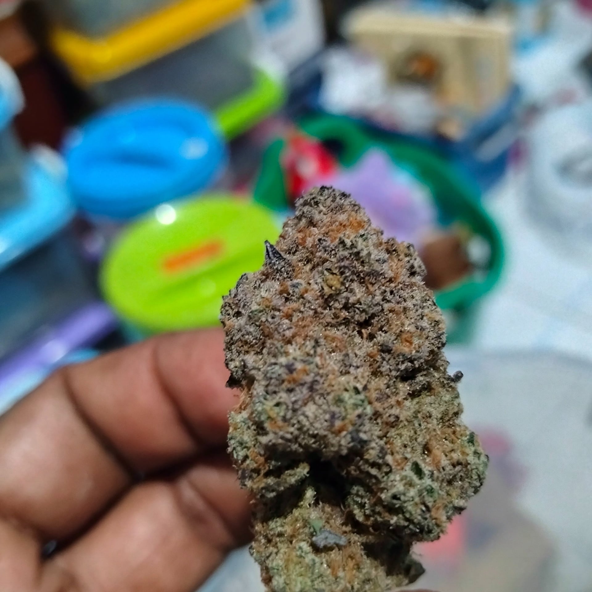 TPMcannabis420farm