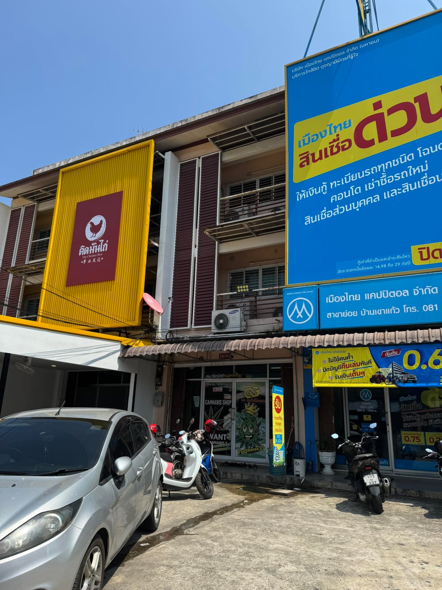 WEED BONG Klongwong Songkhla , , , Onkruid, Mauvaise Herbe