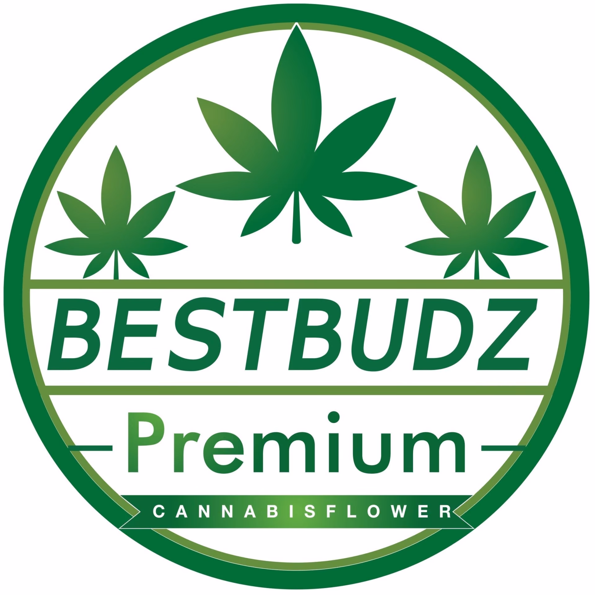 Cannabis Dispensary BestBudz.th logo