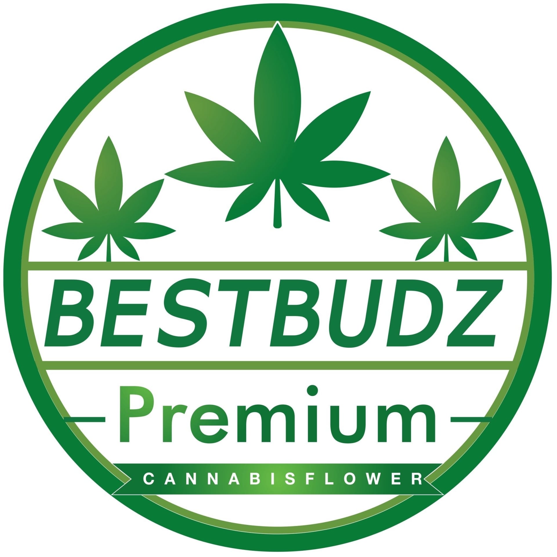 Cannabis Dispensary BestBudz.th in Khon Kaen logo