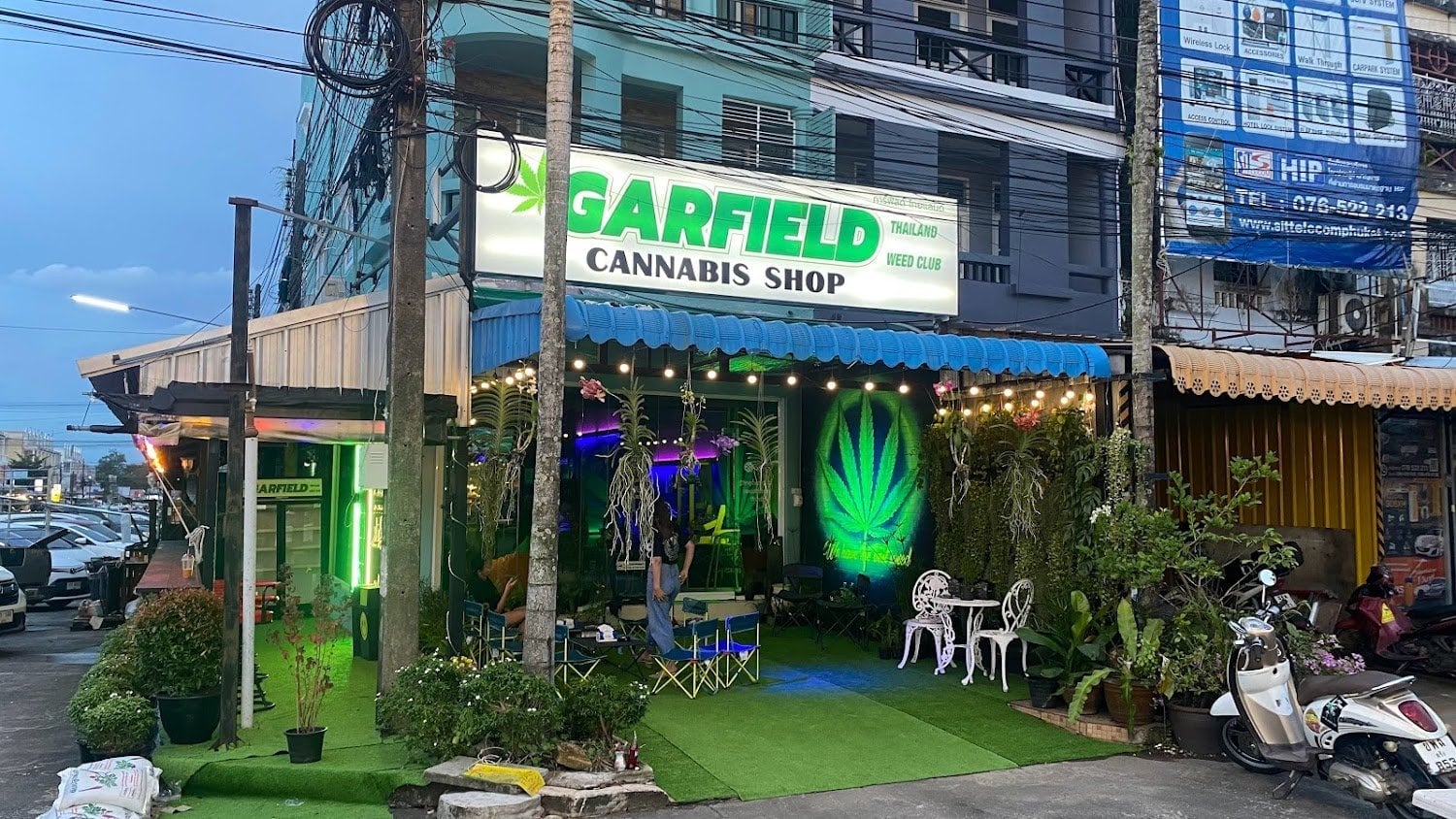 Garfield Weed