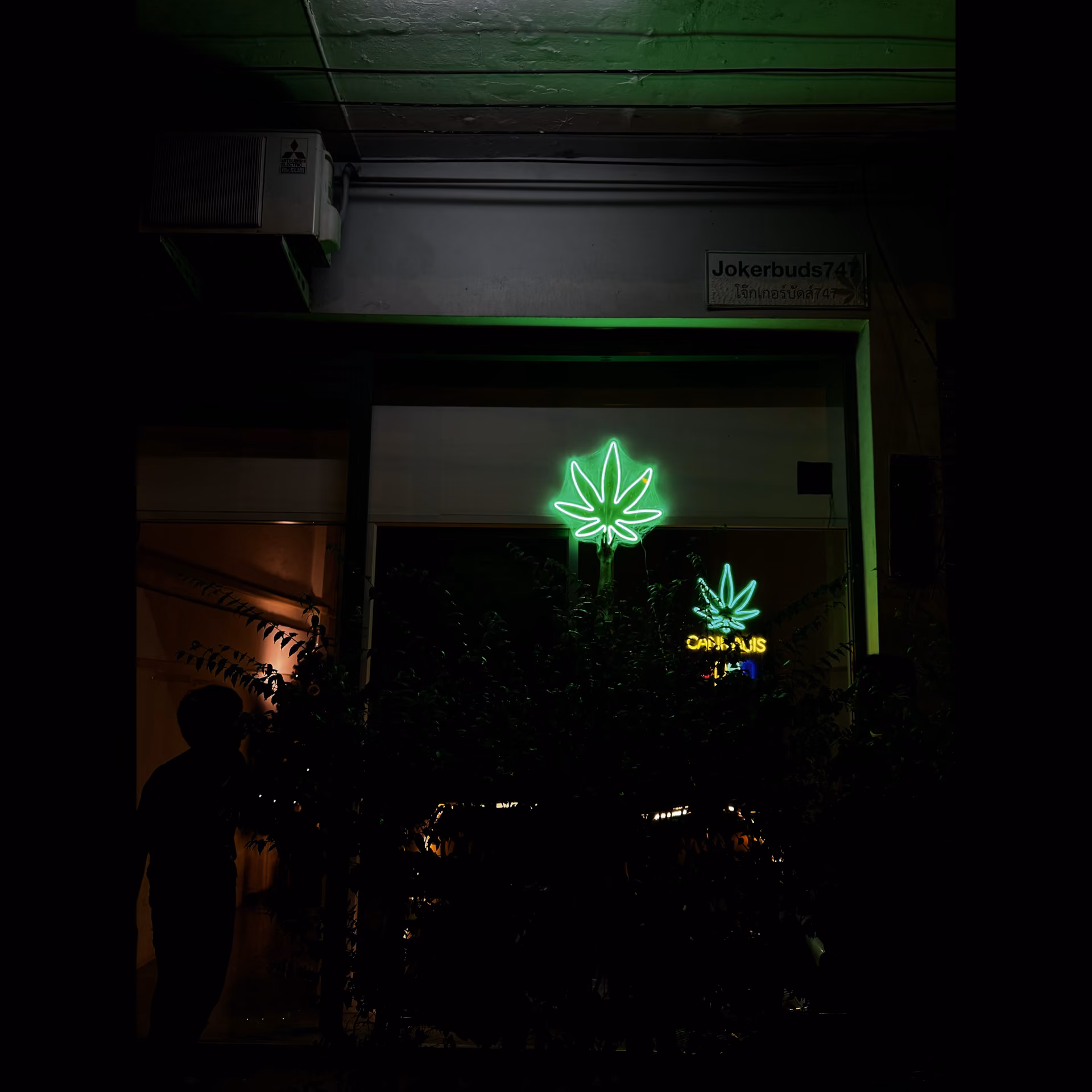 Cannabis Dispensary TOY Cannabis in Pathum Thani logo