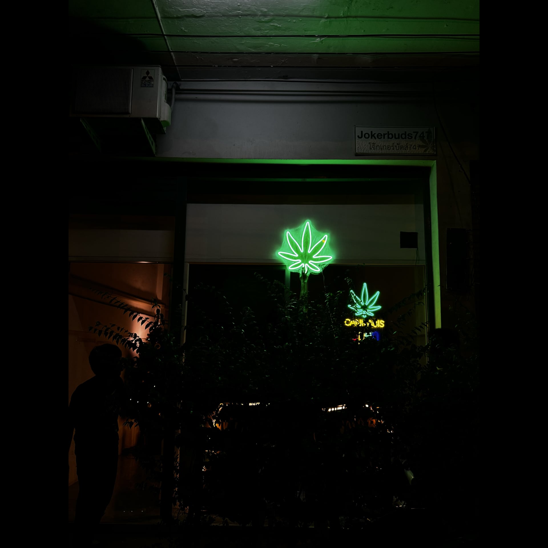Cannabis Dispensary TOY Cannabis in Pathum Thani logo