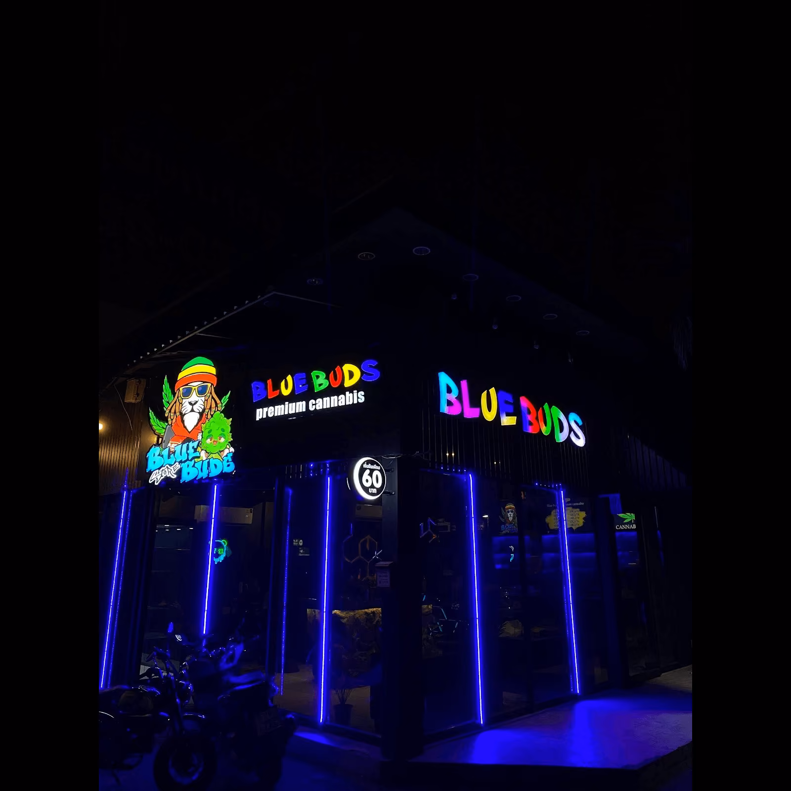 Cannabis-Shop Bluebuds Store2 Logo