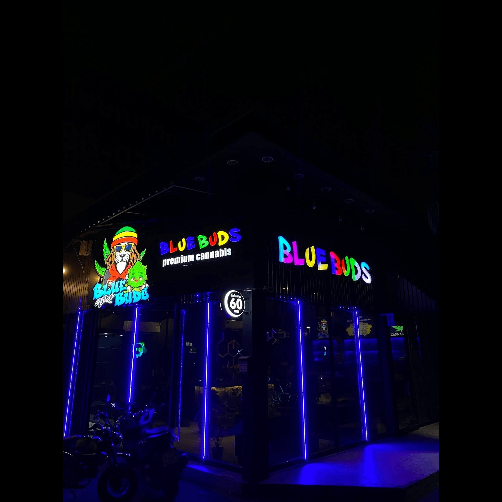 Cannabis Dispensary Bluebuds Store2 in Bangkok logo