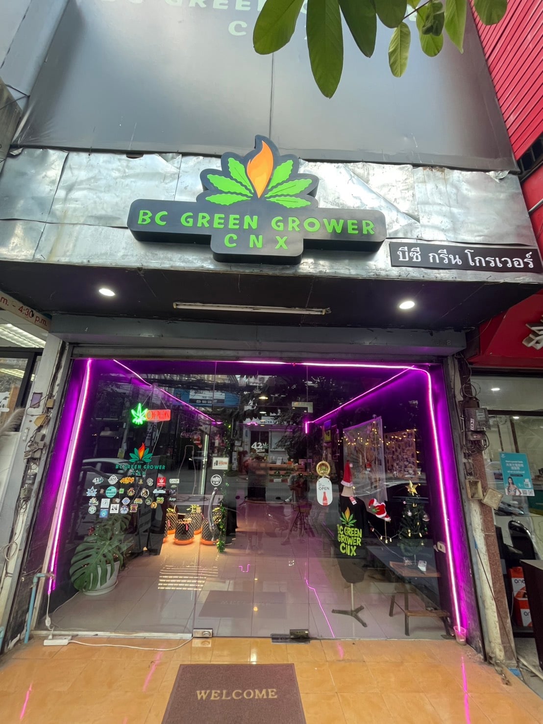 BC Green Grower Cafe