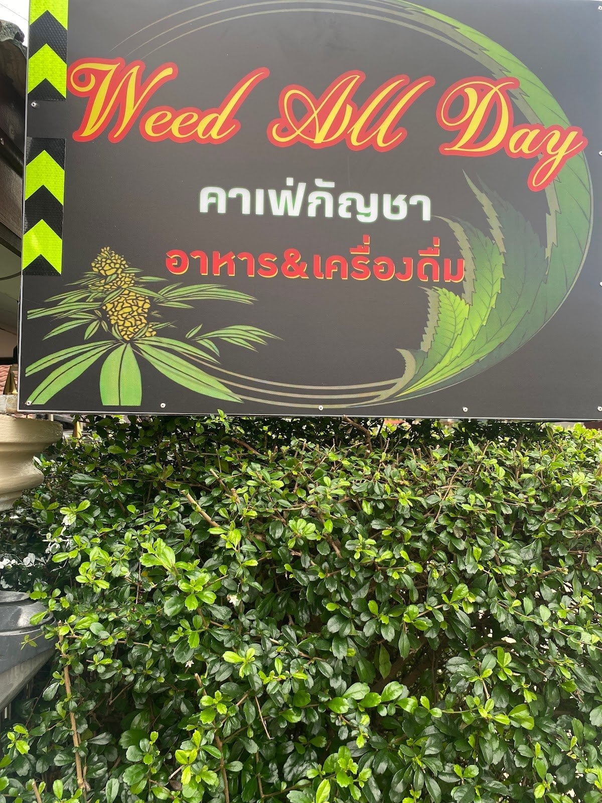 Weed All Day